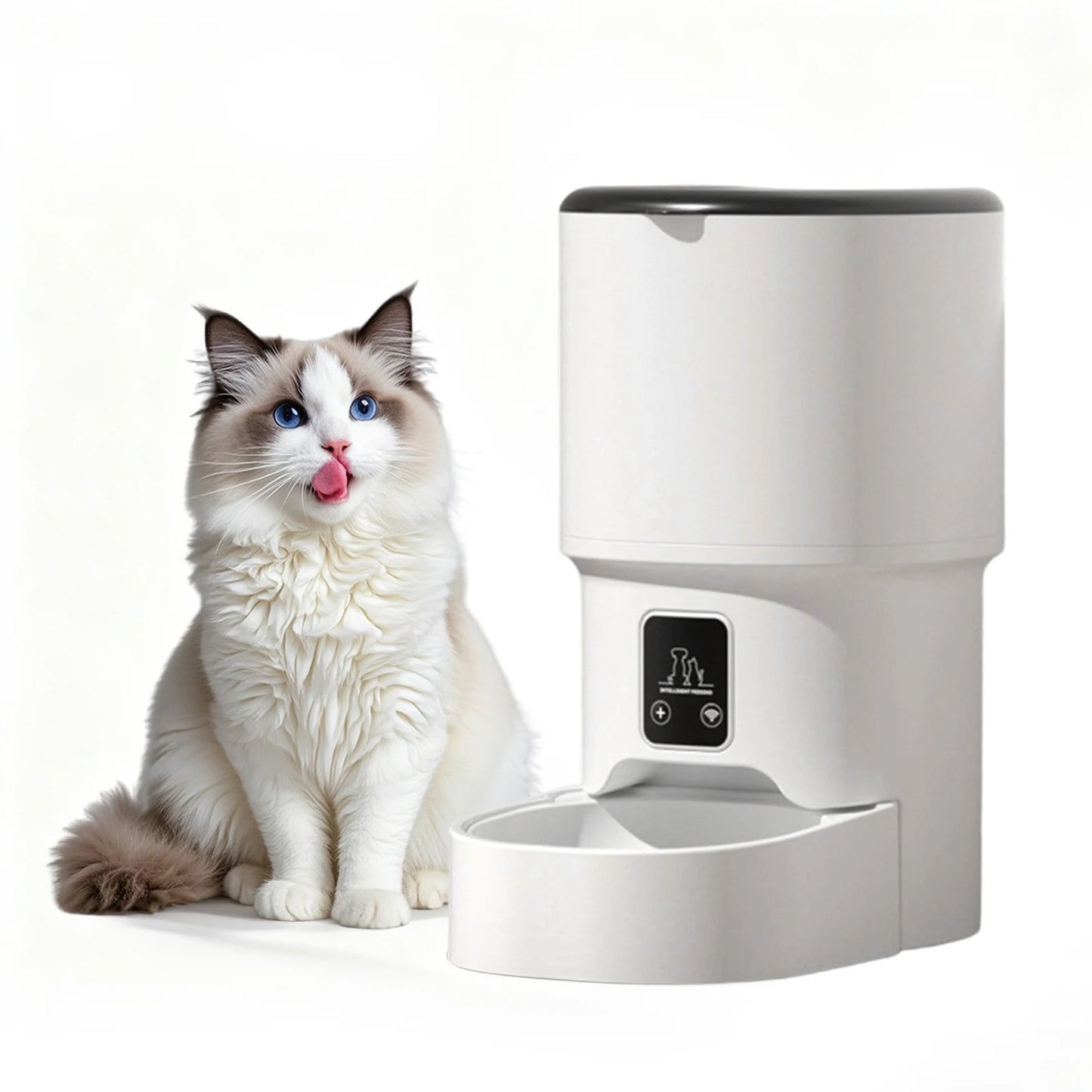 Automatic Pet Feeder 4L - Programmable Timer with 6 Meals Daily for Cats & Dogs