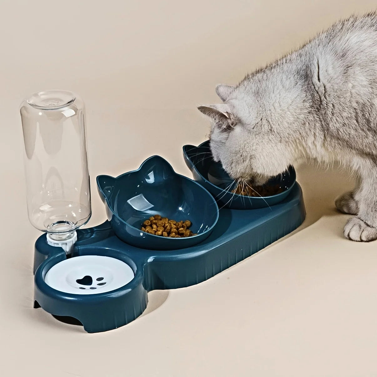3 in 1 Cat Feeder Automatic Water Dispenser Double Bowl Pet Bowl for Small Dogs Cats Pet Food Container Cat Accessories